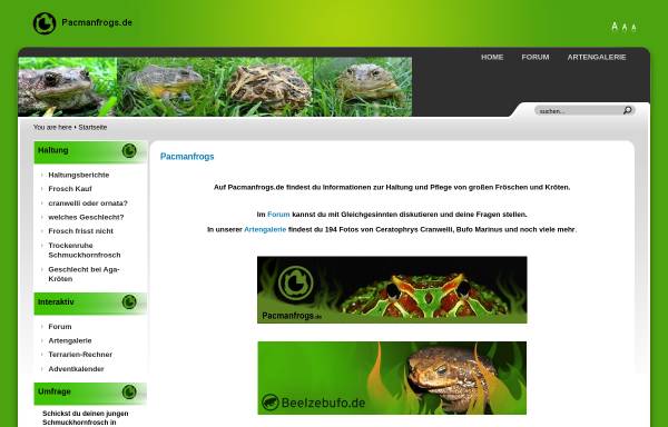 Vorschau von www.pacmanfrogs.de, Pacmanfrogs