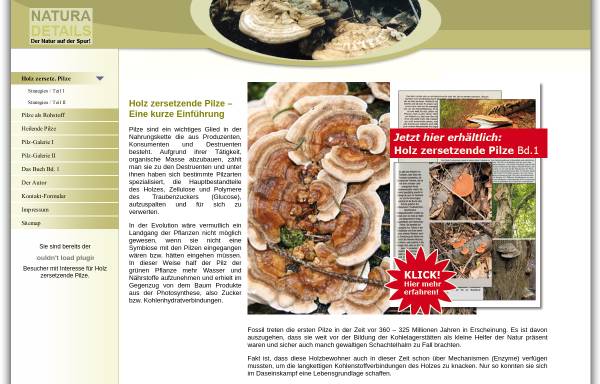 Vorschau von www.naturadetails.de, Holz zersetzende Pilze