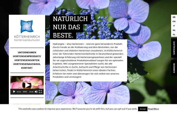 Vorschau von www.hortensien.de, Gartenbau Kötterheinrich
