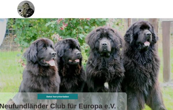 Vorschau von www.neufundlaender-nce.de, Neufundländer Club für Europa e.V.