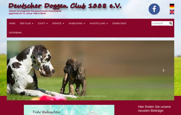 Vorschau von www.ddc1888.de, Deutscher Doggen Club 1888 e.V. (DDC)