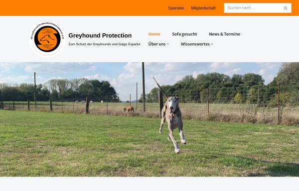 Vorschau von www.greyhoundprotection.de, Greyhound Protection International