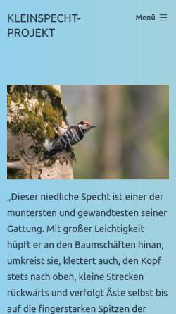 Vorschau der mobilen Webseite www.kleinspecht.de, Ökologie des Kleinspechts (Picoides minor)