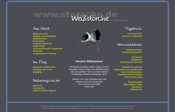 Vorschau von www.stoerche.de, Weißstörche in Norddeutschland