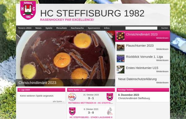 HC Steffisburg