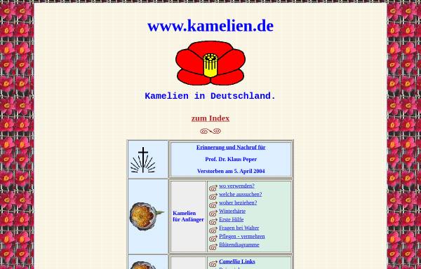 Vorschau von www.kamelien.de, Kamelien.de