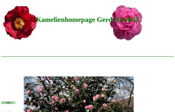 Vorschau von kamelienhomepage-kierfeld.de, Kamelienhomepage Gerd Kierfeld