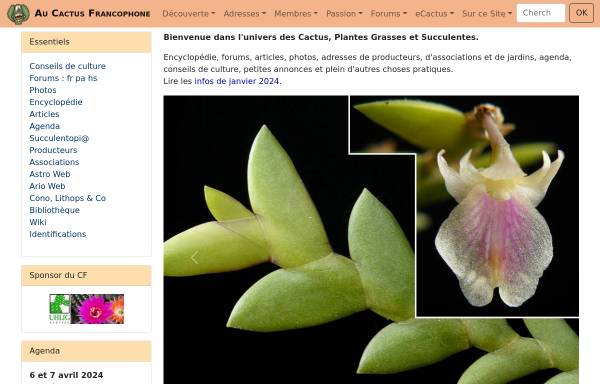 Vorschau von www.cactuspro.com, Kakteen und Sukkulenten