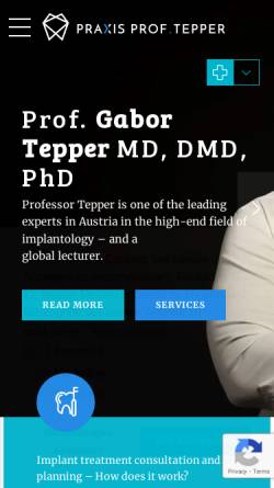 Vorschau der mobilen Webseite www.tepper.at, Prof. DDr. Tepper
