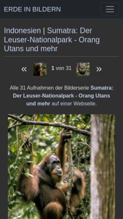 Vorschau der mobilen Webseite www.juergen-reichmann.de, Orang Utans auf Sumatra [Jürgen Reichmann]