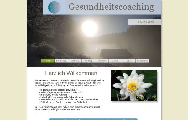 Vorschau von www.gesundheitscoaching.ch, Gesundheitscoaching