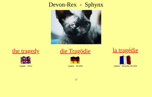 Devon Rex und Sphinx - Tragödie