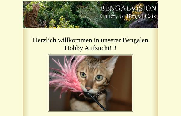 Vorschau von www.bengalvision.de, Bengalvision