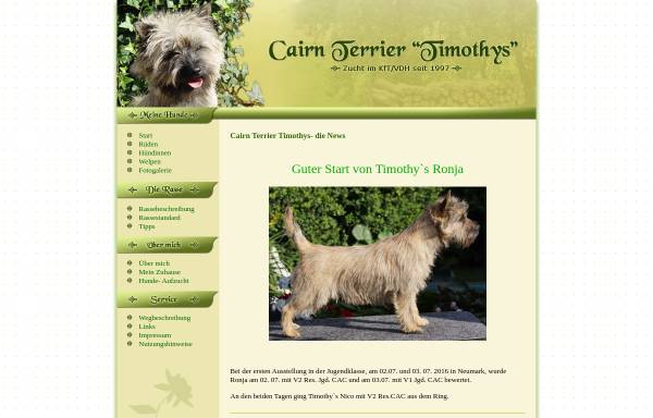 Vorschau von www.cairn-terrier-zucht.com, Timothys