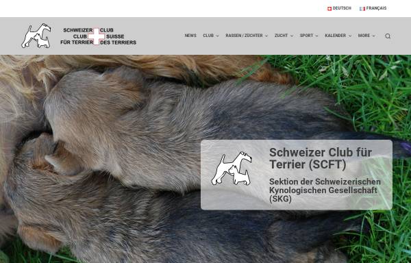 Vorschau von terrierclub.ch, Schweizer Club für Terrier / Club Suisse des Terriers