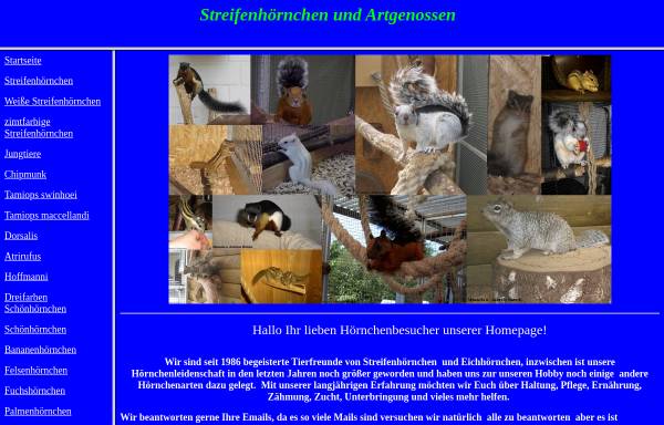 Vorschau von www.streifenhoernchen-butzek.de, Streifenhörnchen und Artgenossen