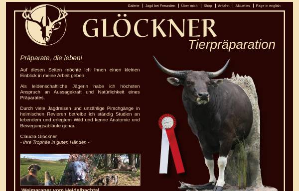 Vorschau von www.tierpraeparation-gloeckner.de, Tierpräparation Glöckner-Präparator, Taxidermist, Jagdreisen-Organisation