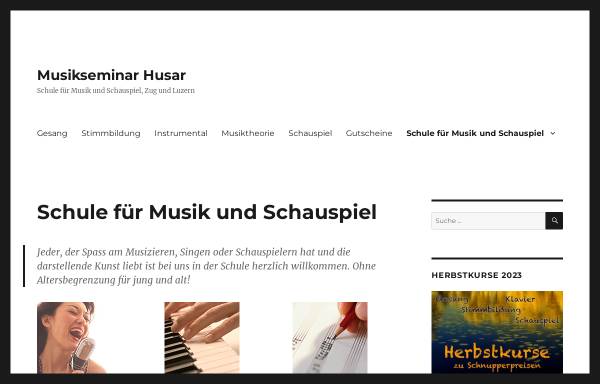 Vorschau von musikseminar.ch, Schule für Musik und Schauspiel Luzern / Zug