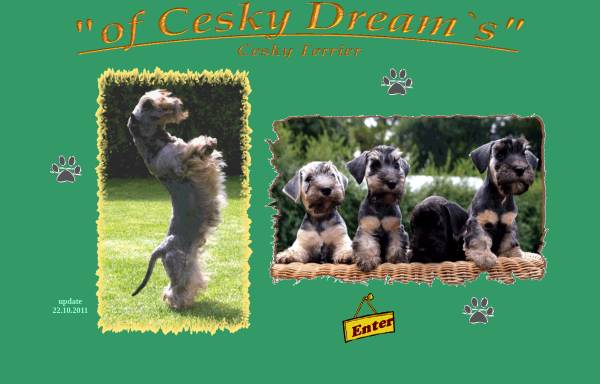 Vorschau von www.ceskyterrier.de, Of Cesky Dreams