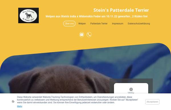 Vorschau von www.patterdale-terrier.com, Steins