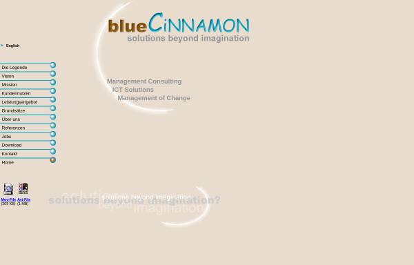 Vorschau von www.bluecinnamon.ch, blueCINNAMON - Solutions beyond imagination