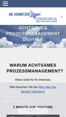 Vorschau der mobilen Webseite www.schnetzerconsulting.ch, Dr. Schnetzer Consulting AG