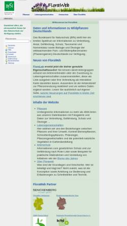 Vorschau der mobilen Webseite www.floraweb.de, Daten und Informationen zu Wildpflanzen und Vegetation in Deutschland