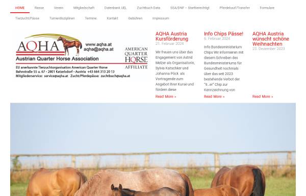 Vorschau von www.aqha.at, Austrian Quarter Horse Association