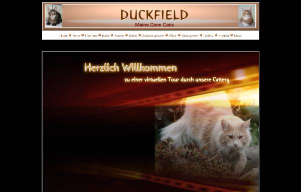 Vorschau von www.duckfield.ch, Of Duckfield