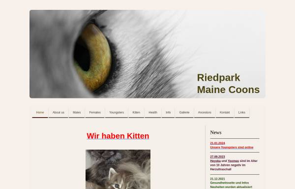 Vorschau von www.riedpark-maine-coons.info, Riedpark