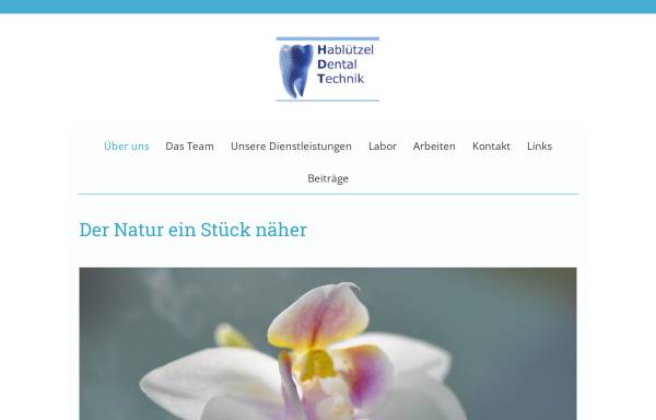 Vorschau von www.hdt-dental.ch, HDT Dental-Technik