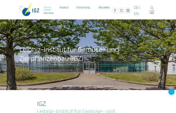 Vorschau von www.igzev.de, Institut für Gemüse- und Zierpflanzenbau Großbeeren/Erfurt e.V.