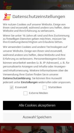 Vorschau der mobilen Webseite www.hsg-wettenberg.de, HSG Wettenberg