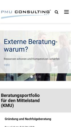 Vorschau der mobilen Webseite www.pmu-consulting.de, PMU Consulting - Unternehmensberatung
