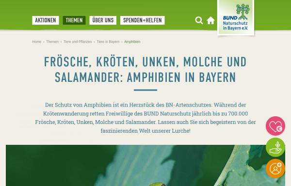 Vorschau von www.amphibien.bund-naturschutz.de, Bund Naturschutz in Bayern e.V.