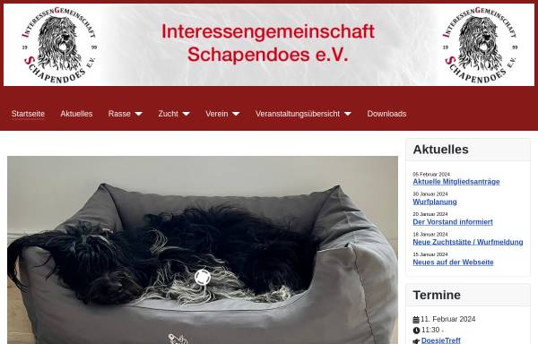 Vorschau von www.ig-schapendoes.de, Interessengemeinschaft Schapendoes e.V.