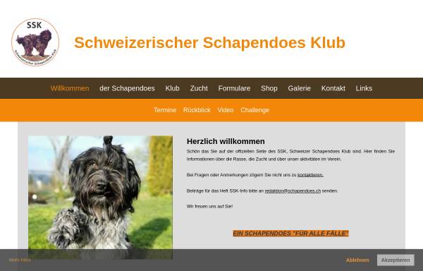 Vorschau von www.schapendoes.ch, Schweizerischer Schapendoes Klub