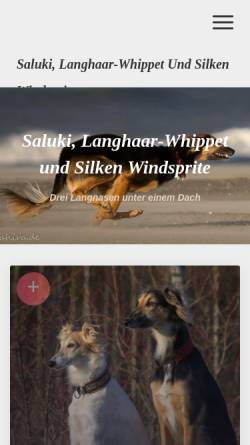 Vorschau der mobilen Webseite www.wahira.de, Wahira, ein persischer Windhund