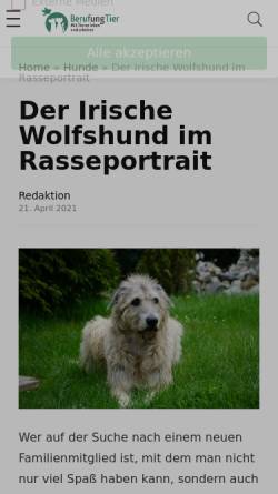 Vorschau der mobilen Webseite www.irish-wolfhound-point.de, Irish Wolfhound Point