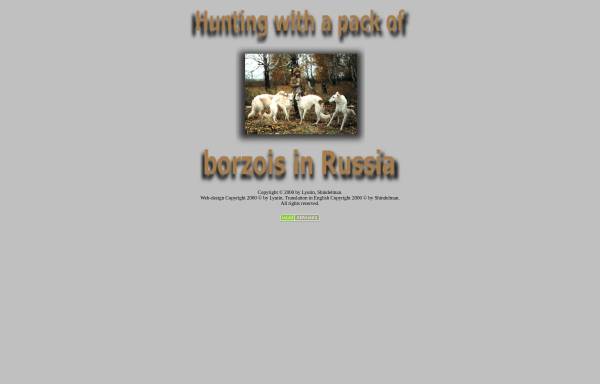 Hunting with Borzoi in Russia