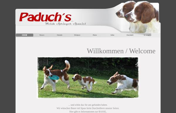 Vorschau von www.paduchs-welsh-springer.de, Paduch's