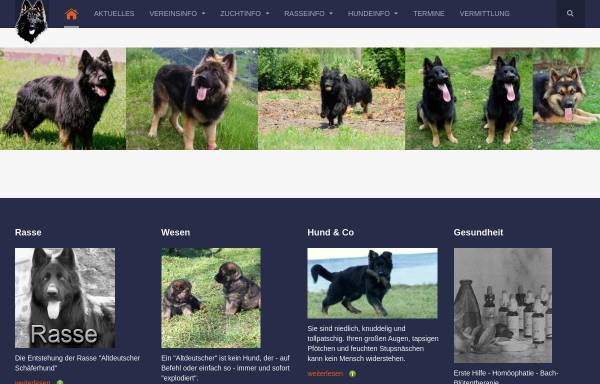 Vorschau von langhaar-schaeferhunde.com, Altdeutscher Langhaar Schäferhund Verband Österreich
