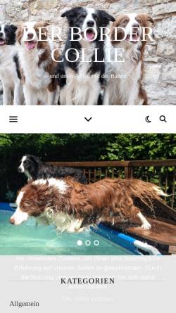 Der Border Collie