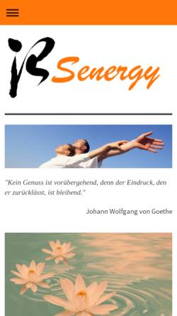 Vorschau der mobilen Webseite senergyteam.de, Senergy Team Deutschland