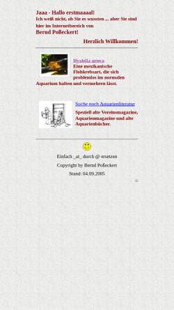 Vorschau der mobilen Webseite www.bernd.ubaqua.de, Hyalella azteca. Mittelamerikanische Flohkrebse im Aquarium