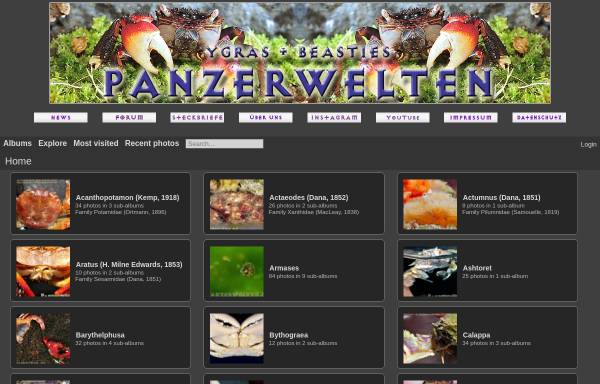 Vorschau von www.panzerwelten.de, Panzerwelten.de