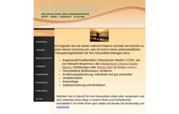 Vorschau von qi-net.de, Therapeutengemeinschaft für Medizinisches Qigong