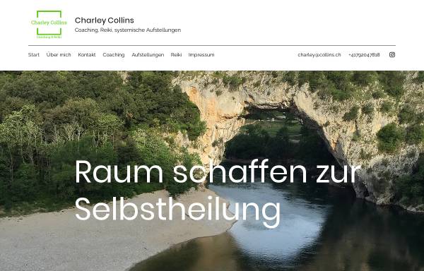 Vorschau von collins.ch, Collins EDV-Service