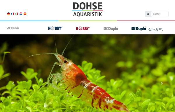 Vorschau von dohse-aquaristik.com, Dohse Aquaristik KG