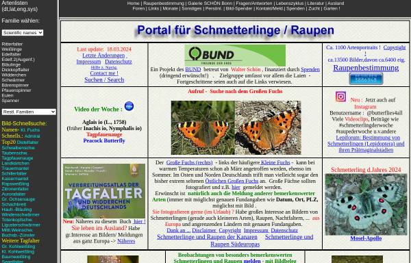 Vorschau von www.schmetterling-raupe.de, Schmetterlinge